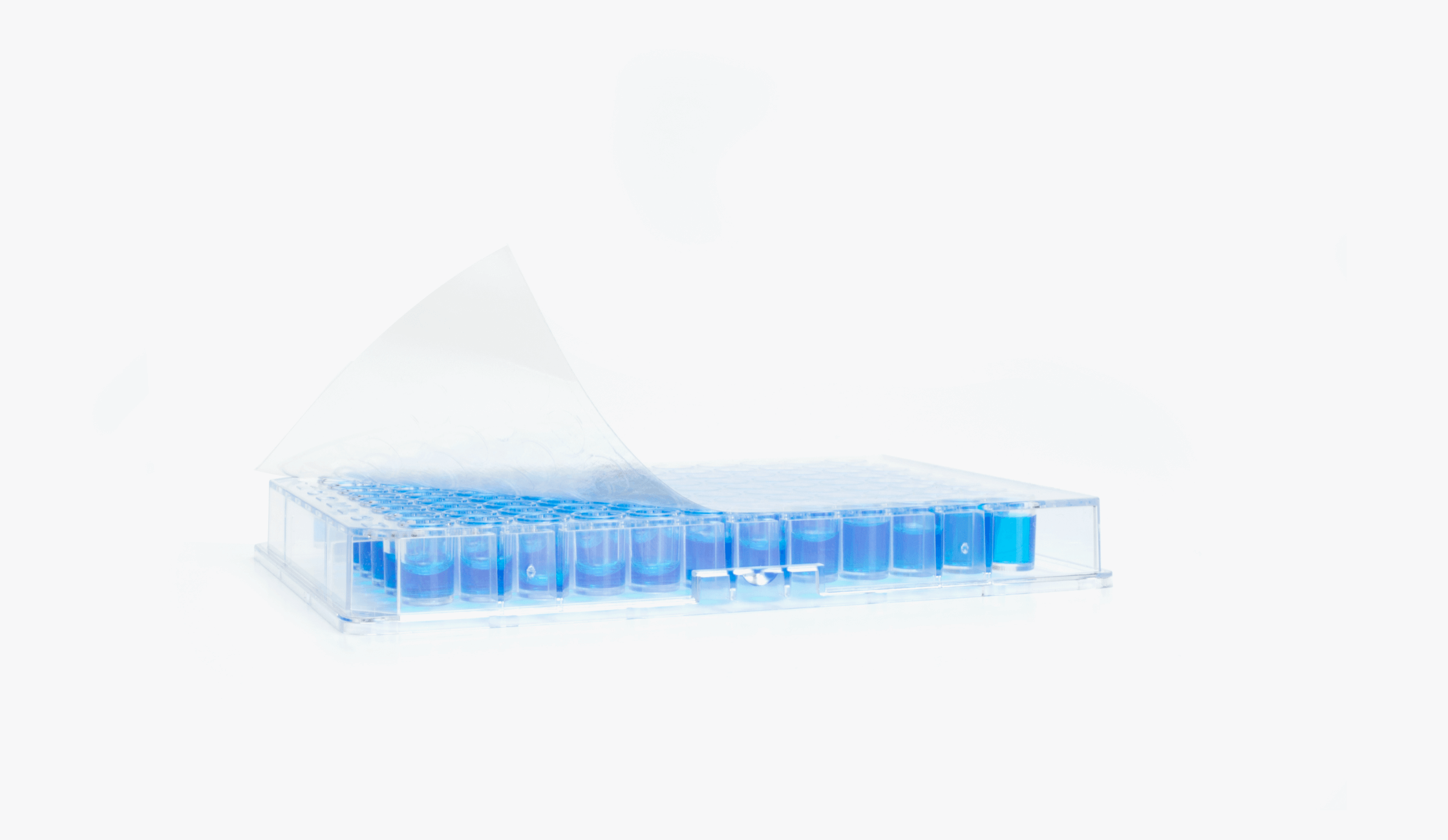 Excel Scientific General Purpose Film