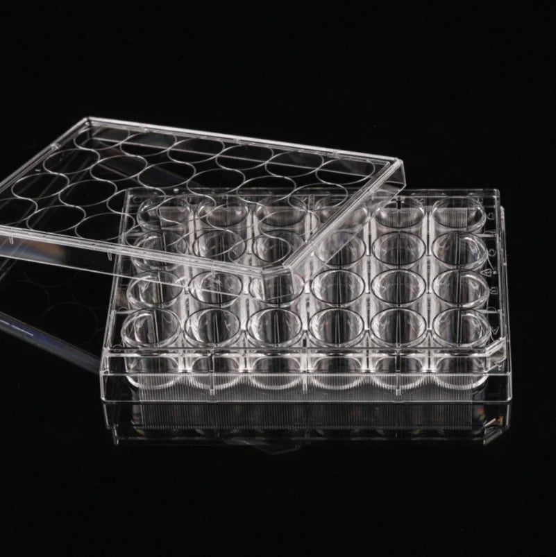 Nest Biotechnology Cell Culture Plate Flat TC Sterile 24 Well
