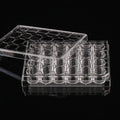 Nest Biotechnology Cell Culture Plate Flat TC Sterile 24 Well