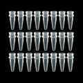 UltraFlux 8-Strip Tubes Clear