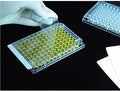 Excel Scientific SealPlate - Non-Sterile