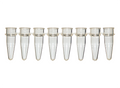 SCIENTIFIC SPECIALTIES STRIP CAP 8 TUBE NAT 0.2ML