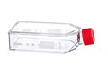 Greiner Cell Culture Flask 75cm2 250ml with Solid Cap