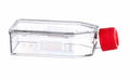 Greiner Cell Culture Flask 25cm2 50ml with Filter Cap