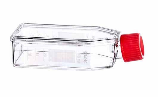 Greiner Cell Culture Flask 25cm2 50ml with Filter Cap