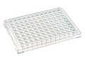 0.2 mL DuraFrame™ Rigid PCR Plate, Clear