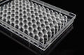 Nest Biotechnology Cell Cult Plate U-Bottom TC Sterile 96 Well