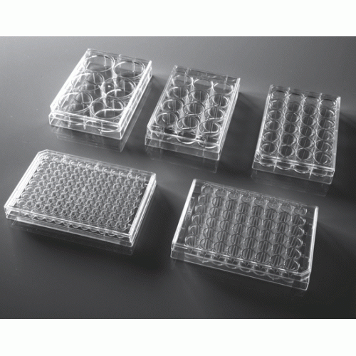 Nest Biotechnology Cell Culture Plate Flat TC Sterile 24 Well