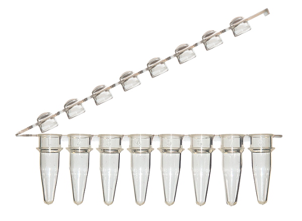 UltraFlux 8-Strip Tubes with Hinged Attached Dome Caps Clear