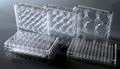 Nest Biotechnology Cell Culture Plate V Bot Tc St 96 Well